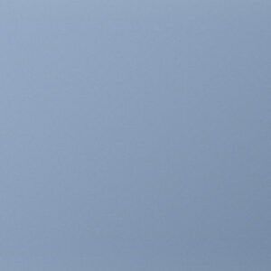 Alternative view of Barnevelder